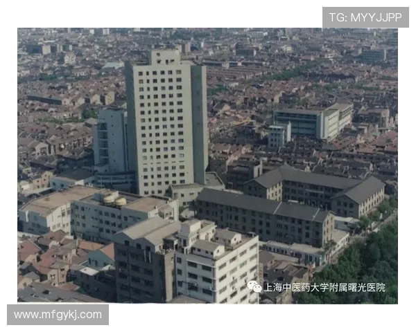 上海羽毛球队的拼搏历程与荣耀时刻全景回顾