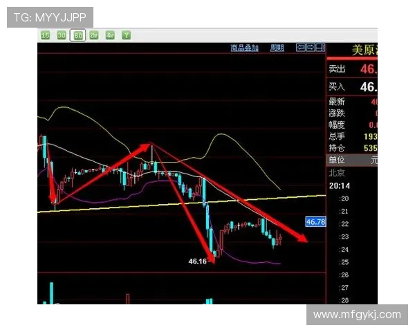 独家分析：西安羽毛球队的速度对比